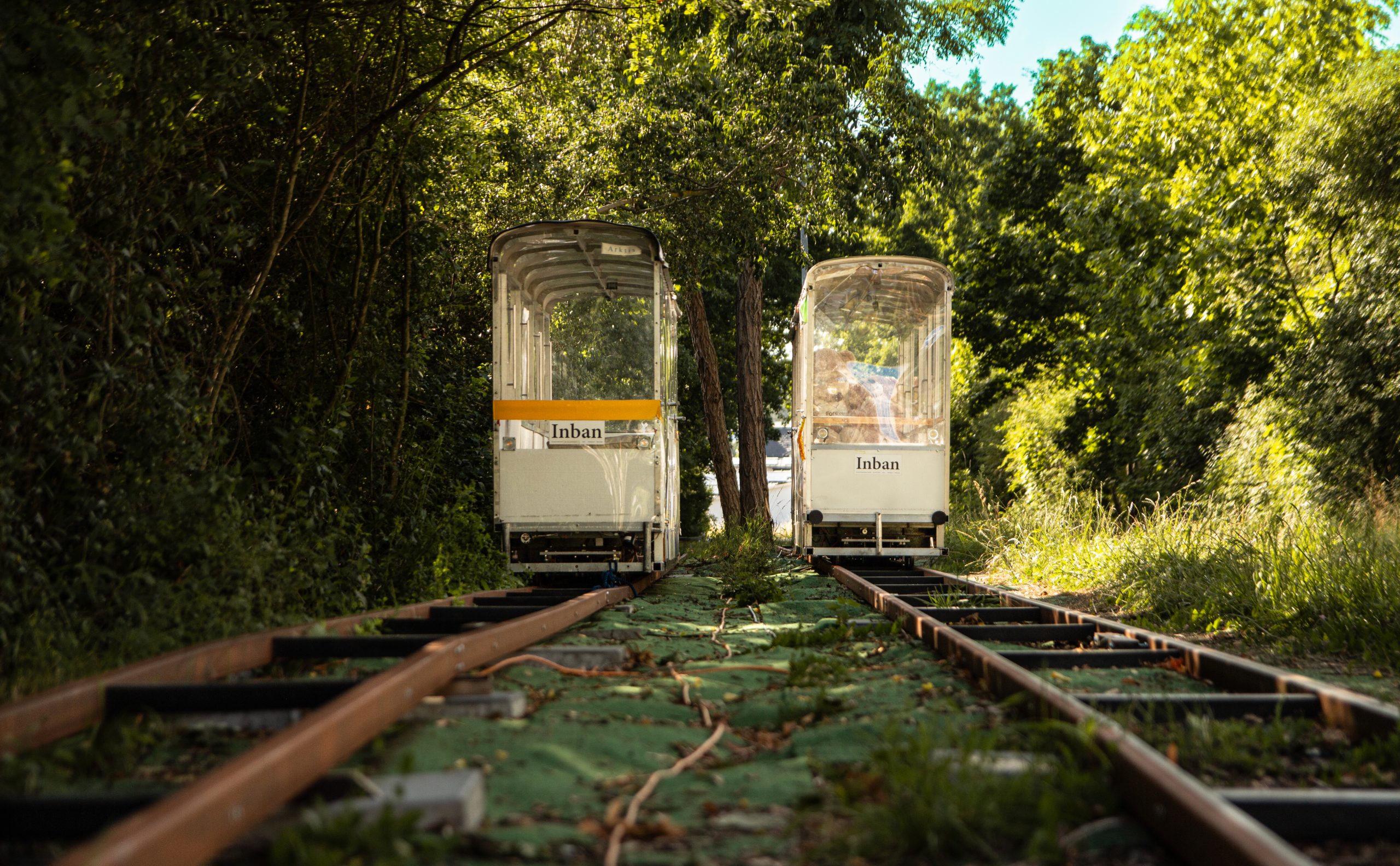 Zwei Inban-Shuttles, die auf parallelen Gleisen durch eine begrünte Stadt fahren.
